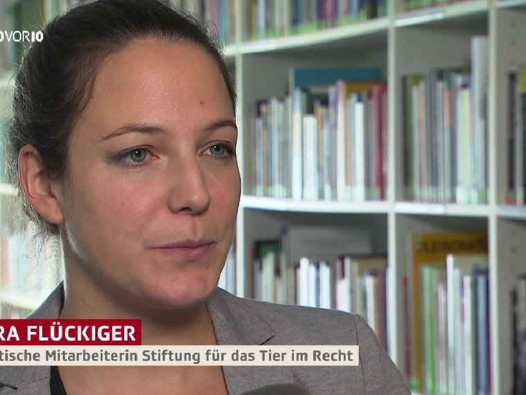 2019 11 14 SRF 10vor10, Nora Flückiger