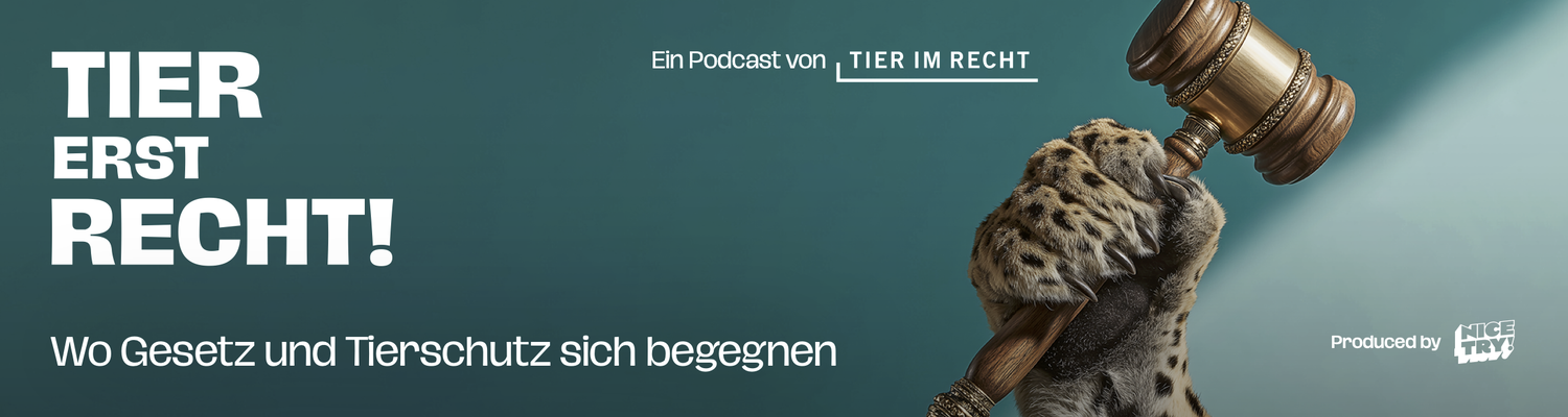 Header Podcast