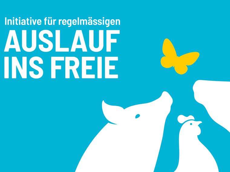 Auslauf-Initiative