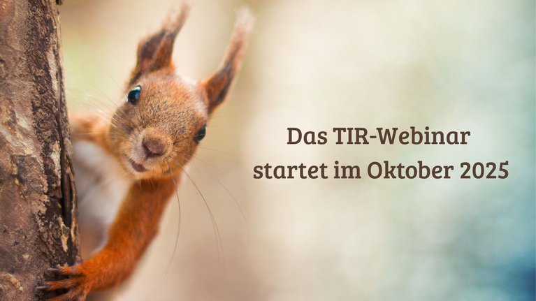 Eichhörnchen mit Text zum Webinar
