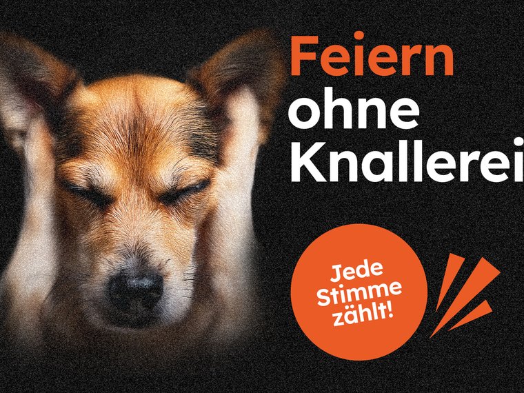 FWI Feiern ohne Knallerei