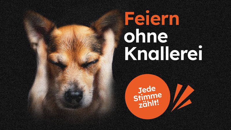 FWI Feiern ohne Knallerei