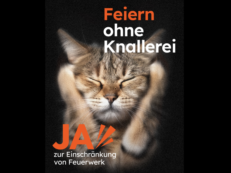 FWI Katze Querformat