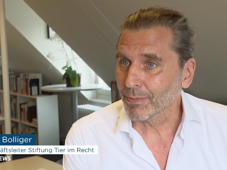 Gieri Bolliger bei Tele Züri News vom 20.8.2025