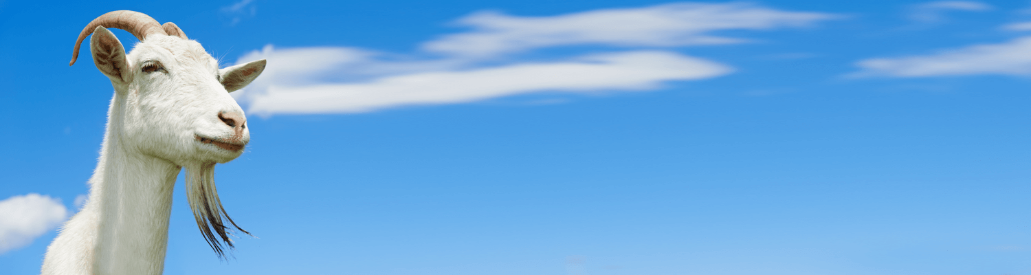 Header Ziege Home