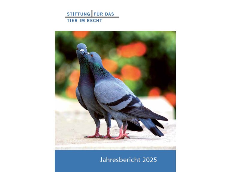 Jahresbericht 2025 Querformat