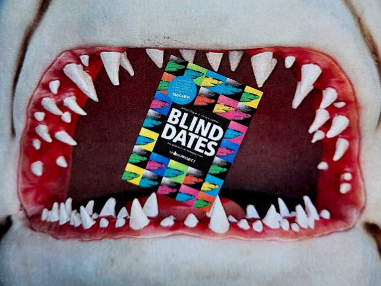 Lesetipp Sommer 2025: Shark Project Blind Dates