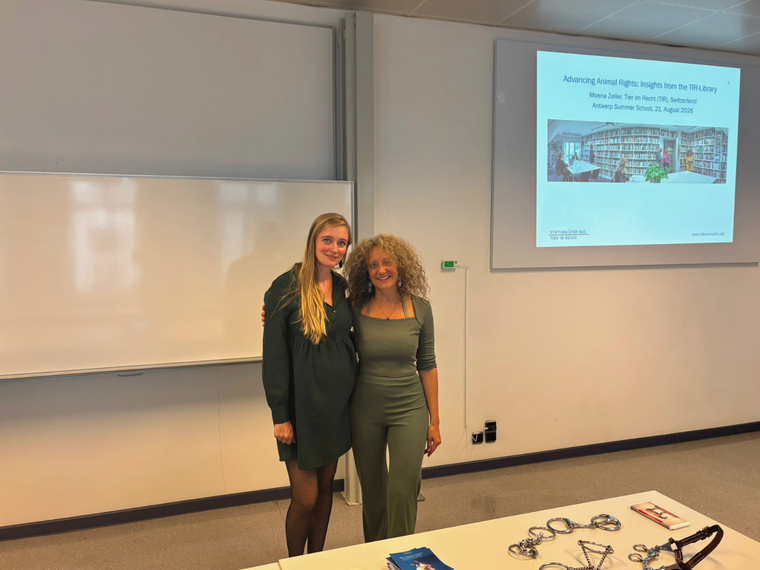 Moena Zeller und Eva Bernet Kempers bei Sumer School in Antwerpen
