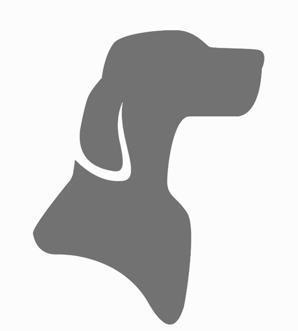 Platzhalter-Team-Hund.jpg