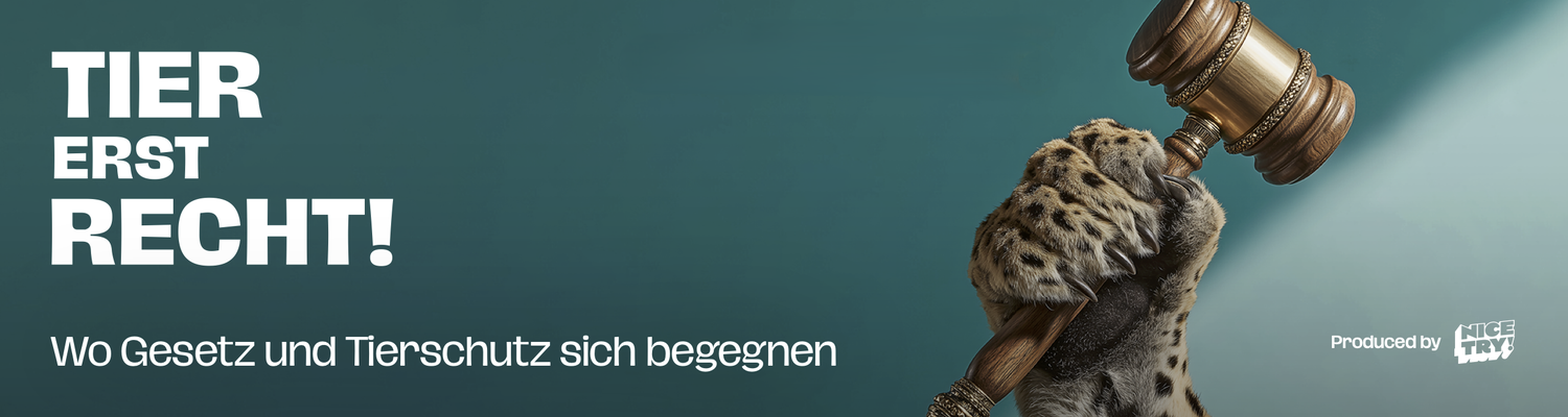 Header Podcast ohne Hinweis