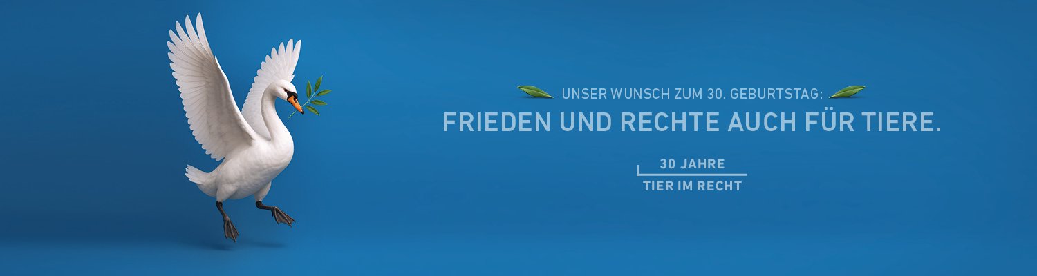 Header Schwan Jubiläumskampagne Deutsch