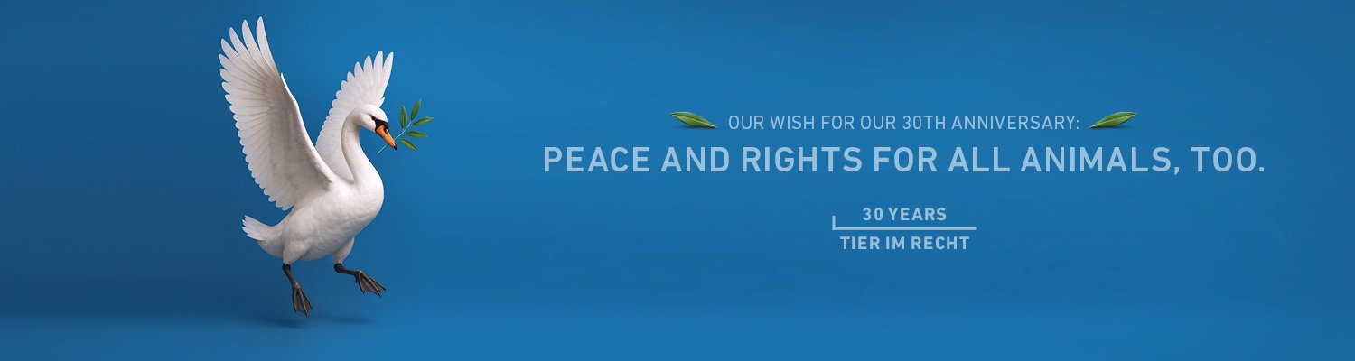 Header Schwan Jubiläumskampagne Englisch