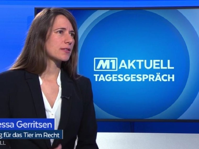 Vanessa Gerritsen bei Tele M1 in Das Tagespespräch vom 7.2.2020