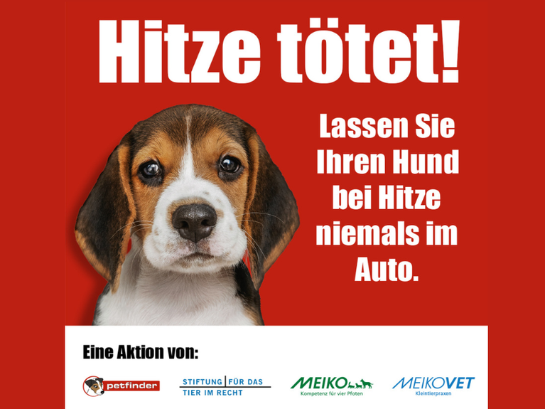 Hitze tötet