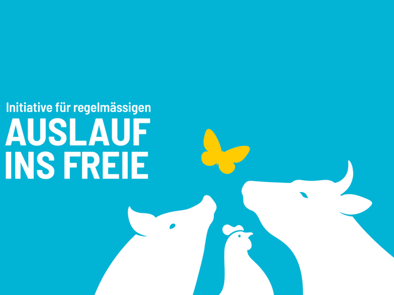 Websiteformat Auslauf ins Freie Kampagnensujet.png