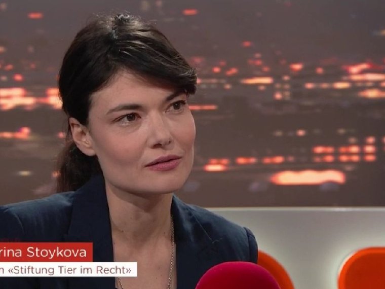 Tele Züri TalkTäglich vom 21.1.2020 mit Katerina Stoykova